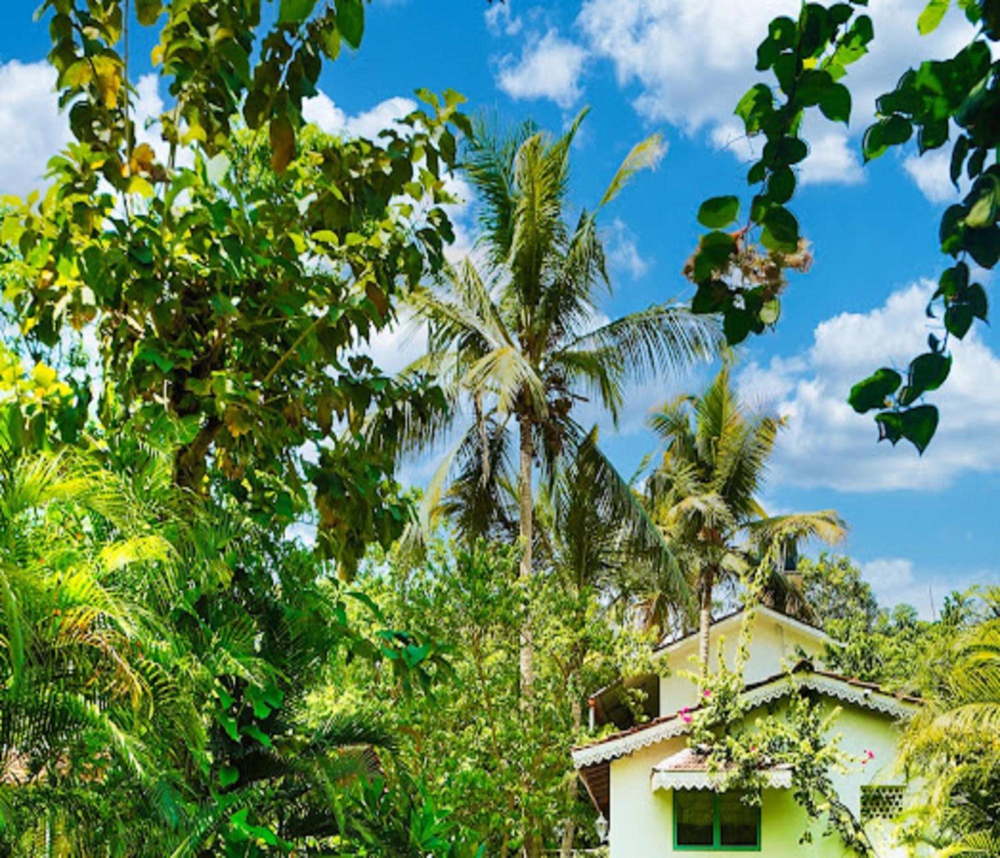 Lar Amorosa Boutique Hotel - Goa Calangute Exteriör bild
